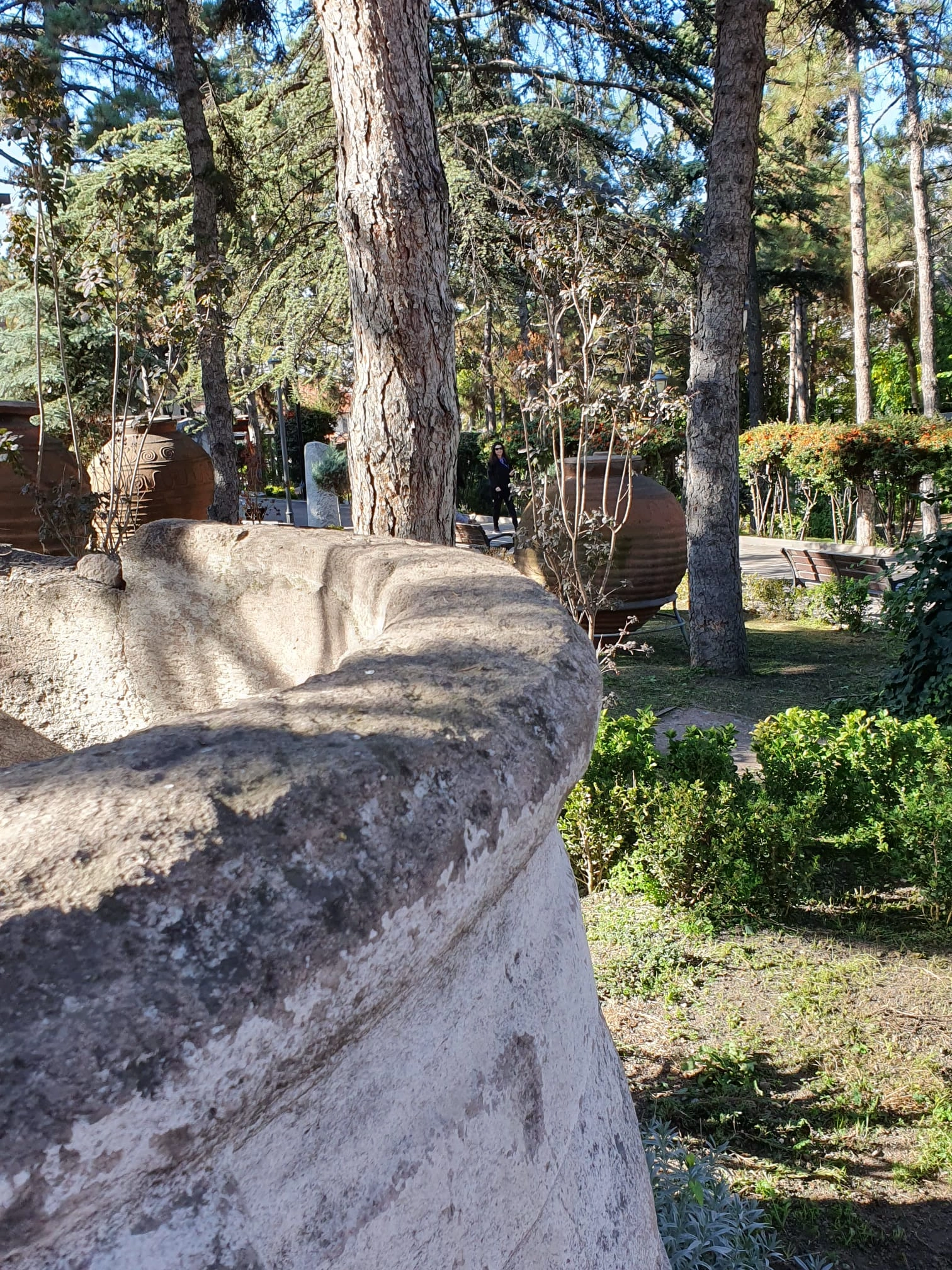 Süs havuzu genel görünüm