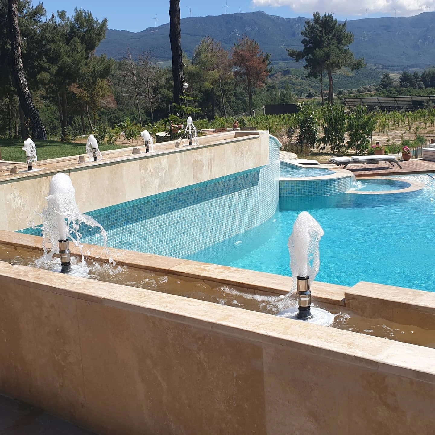 Ticari havuz genel görünüm